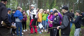 Trä-vligt och lärorikt i skogen