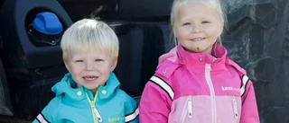 Många söta djur på Grandagen