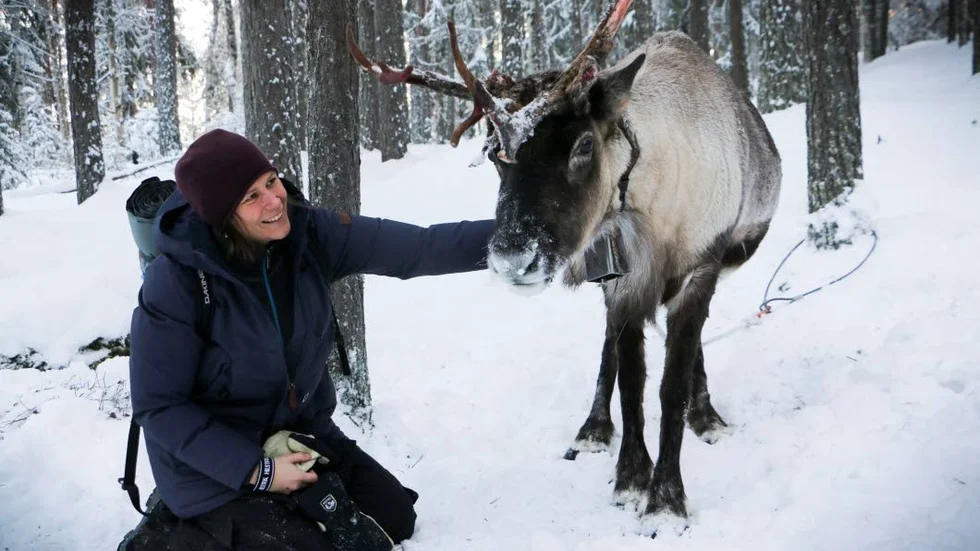 Bekanta sig. Johanna Qvarfordt, Boden, tyckte om renarna som fanns på plats och bidrog med fin julstämning.