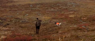 Riptillgången blir allt sämre