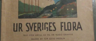 Nyttoväxter i vår nära natur