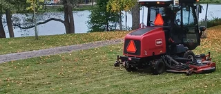 Ta bort onödig gräsklippning                 