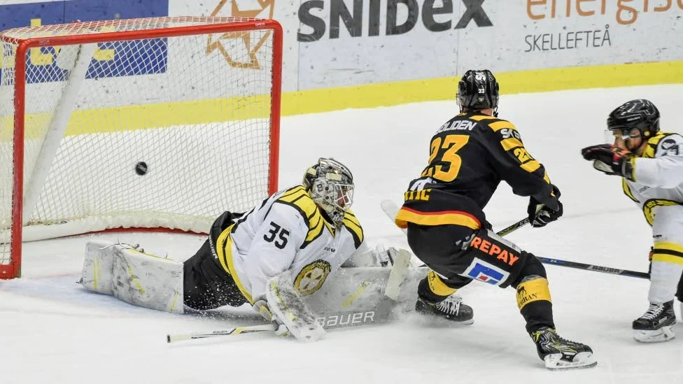 MÅL. Skellefteås Mark Katic gör 1-0 bakom Brynäs målvakt David Rautio.