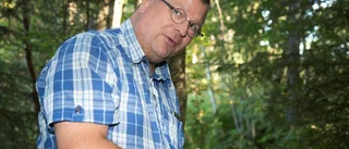 Piteå kommun utreder bilkyrkogården