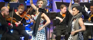 Tonsäkra akademiker underhöll fullsatt Acusticum
