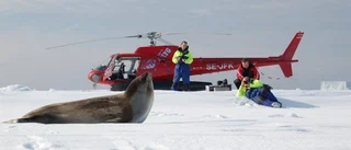 Kallaxflyg investerar i ny helikopter
