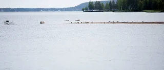 Buller från snöskotrar stör byborna
