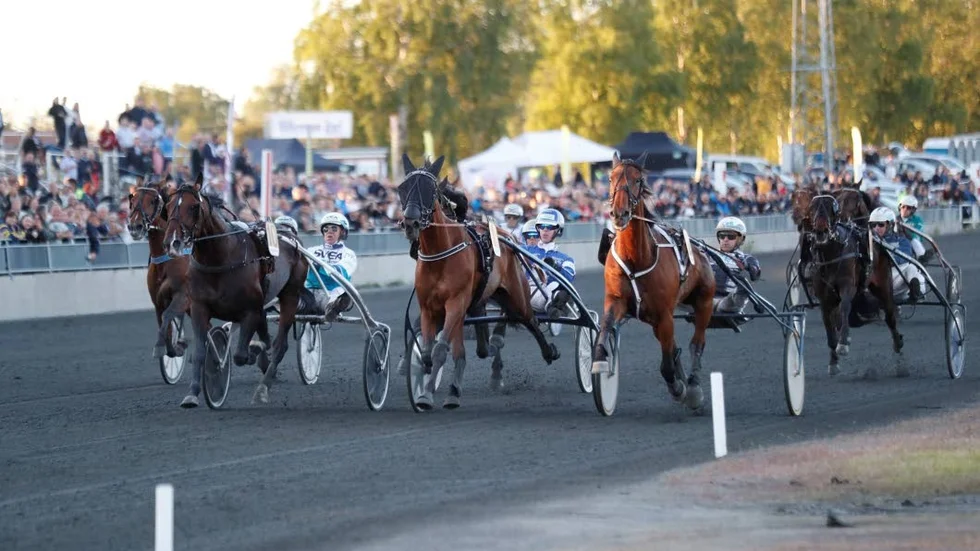 Qahar Q.C, Linus Boy och Dont Mind Me i en av många rafflande slutstrider.