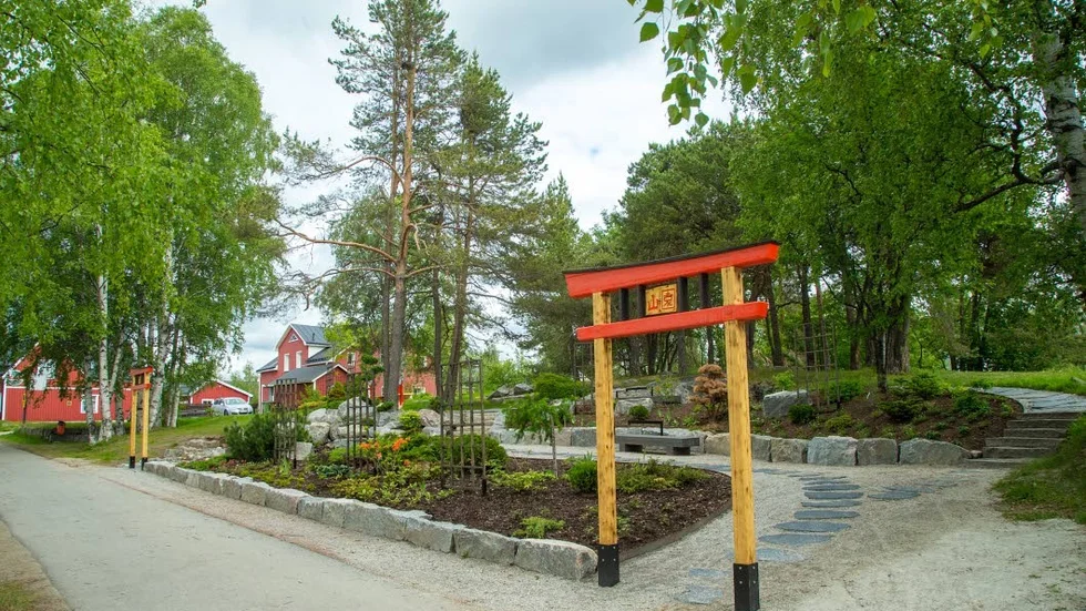 Parken har fyllts med barrväxter i olika färg och form och blommande körsbärsträd.