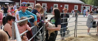 Barnsligt kul på Grans