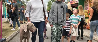 Möhippa lönande extraknäck