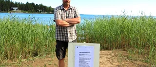 Giftalger i Pultviken skadade treåring