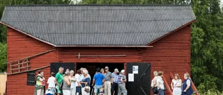 Pitemålsdagen värnar om språket