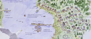 Befarar att satsning äventyrar naturhamn