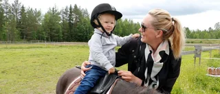 Öppet hus i hela Alterdalen