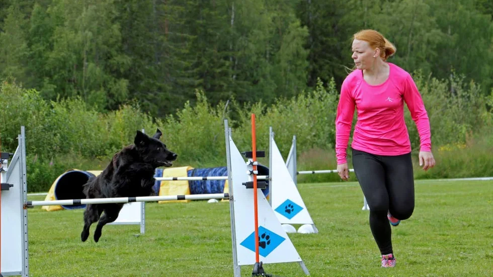 Fokus. Andrea Stenlund och hunden Gnista tar sig in i mål.