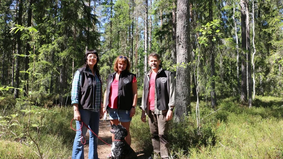 Hoppas. Ulrika Lindgren med hunden Ella, Catharina Pauloff och Magnus Nilsson från Föreningen Karlberg hoppas att parterna Luleå Stift och Piteå kommun kommer överens så satt den hotade skogen på Karlberg kan räddas.