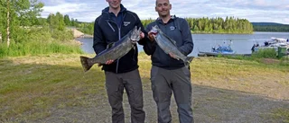 Storfiskarna drogs upp under festivalens andra dag