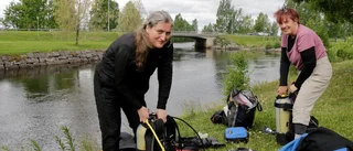Herrcykel ett av fynden i vårstädningen