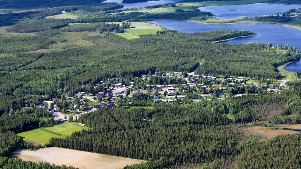 Nära Vistträsk. Det stora område som ska undersökas ligger bara ett par hundra meter från Södra Vistträsk.