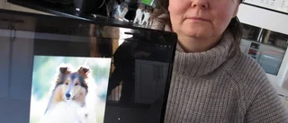 Bortgångna hundar i femton urnor