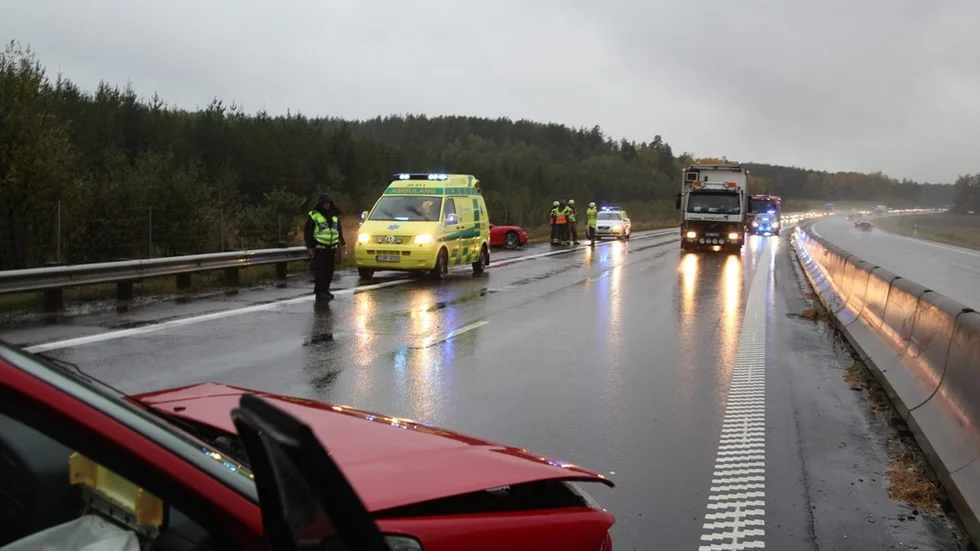 Köerna blev långa efter krocken. Persson/Wighsnews