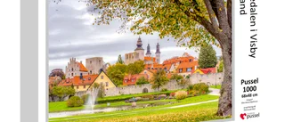 Pussel Almedalen