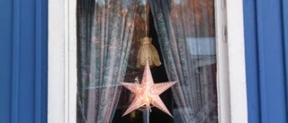 Adventsstjärnor
