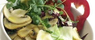 Vårens goda pastasallad