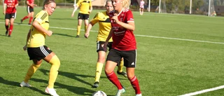 En positiv avslutning på en tuff säsong för Tjust