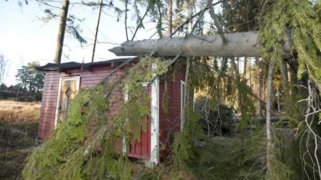 En gran bröts av på mitten och kraschlandade över en stuga i Marby, strax utanför Norrköping.