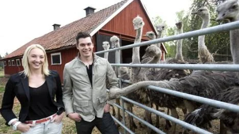 De tror att tjuvarna var ute efter att sälja köttet dyrt inför nyår.
- Även om det inte var så mycket kött på dem. Det känns ju meningslöst att slakta dem när de är så små, säger Erica Lind och Gustaf Widerström. Foto: Janne Forsby/arkiv