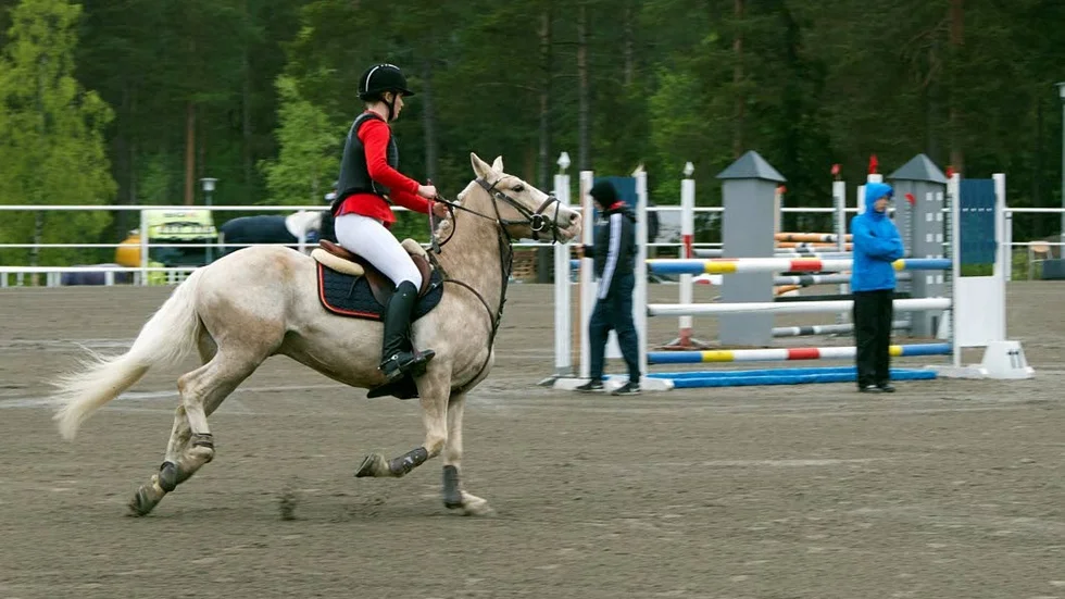 Förutom att Tilda Lundberg kvalade in till Prins Carl Philips pris blickar hon fram mot ungdoms–SM i augusti. Här tävlar hon i klassen MVS B Kat. B, C (1). ?FOTO: Birk Sollenius