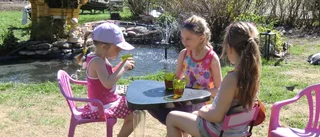 Vinnarbilden är utsedd
