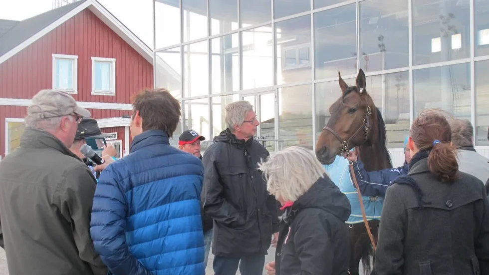 Treårige travaren Cooper Sisu stod lugn och observant bland hundratalet människor när han visades upp som en av två hästar i Norrtravs Rixhästtävling. I kväll debuterar den till 1500-delar andelsägde hästen i Skellefteå.