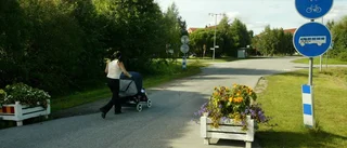 Nya riktlinjer för blomlådor