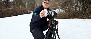 Så fångar du fenomenet på bild