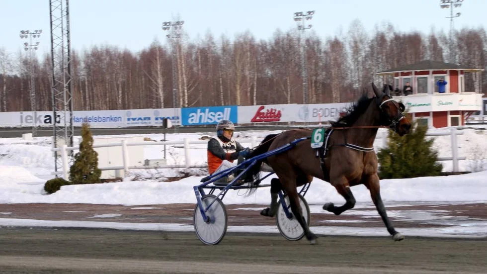 Rally Funny (Ove A Lindqvist) vann V4-4 på Bodentravet under måndagen.