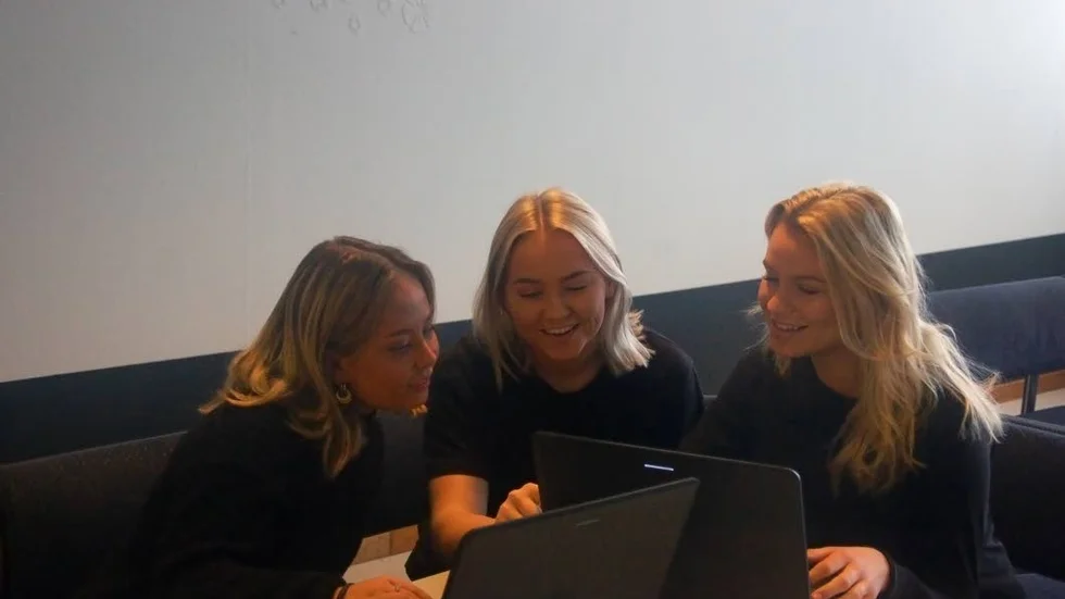 Emma Öhman, Lovisa Holmbom och Nelly Hallberg står bakom företaget Hands Together UF.