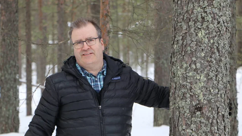 "Det är bättre att köpa skog än att spara i aktier", säger fastighetsmäklare Tomas Lundmark vid LRF konsult.