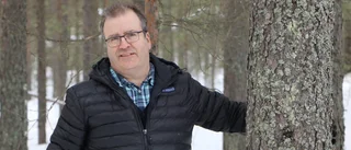 Bättre köpa skog än att köpa aktier
