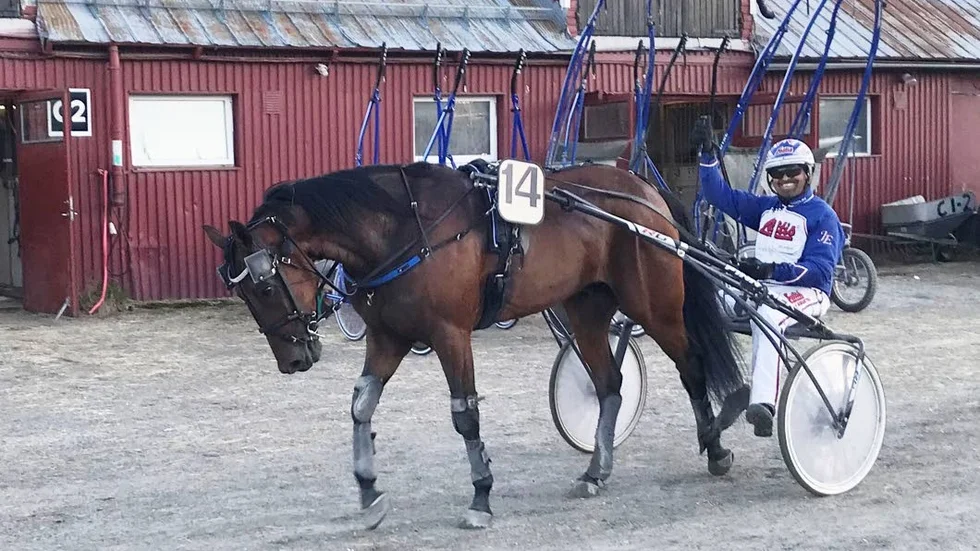 PT-sportens travexpert Bosse Lundkvist spikar Zorro Swing.