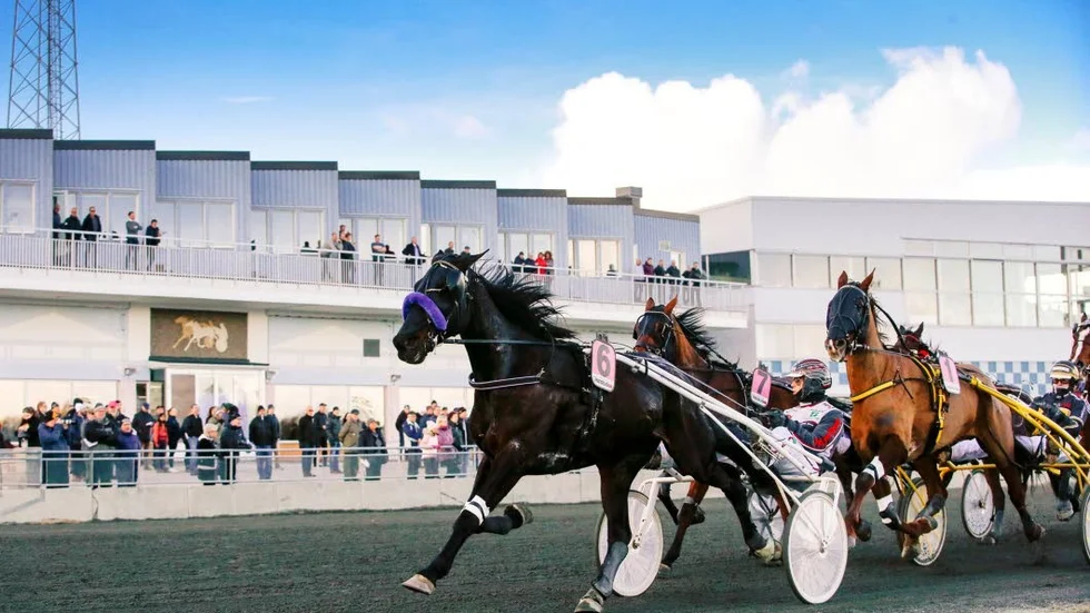 Dwight Sisu (Mika Forss) spårar V75-6 före Falcon W.F (Sandra Eriksson)