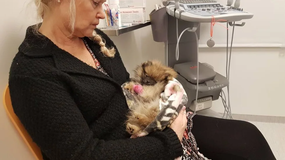 Carina Wärja på djursjukhuset med sin sjuka lilla valp.