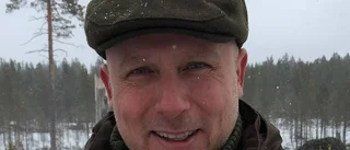 Mårdhundarna ökar igen