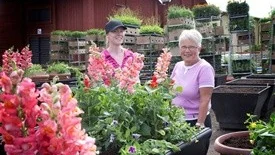 Det är mycket jobb att arrangera sommarens blomsterarrangemang. Det kan parkarbetarna Milou Claeson och Solveig Antonsson intyga om. Planeringen startas redan hösten innan och när sedan blommorna levereras är det fullt upp.