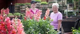 Färggrant i årets blomsterarrangemang