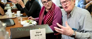 Pitemålsakademi ska bevara dialekten