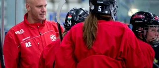 Ny spelare i MSSK/Piteå