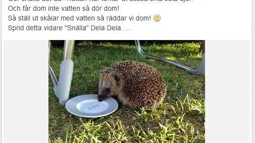 Börje Andersson delade det här inlägget på Facebook och det har fått stor spridning, något som glädjer honom.